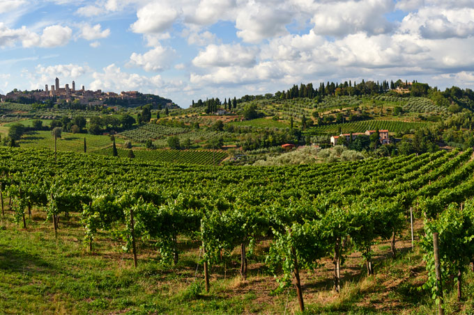 Paisagem de vinhedos nos arredores de San Geminiano, na Toscana, Itália, região do Chianti