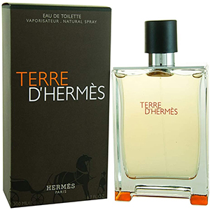 Terre D'Hermés Eau De Toilette Masculino 100 ml