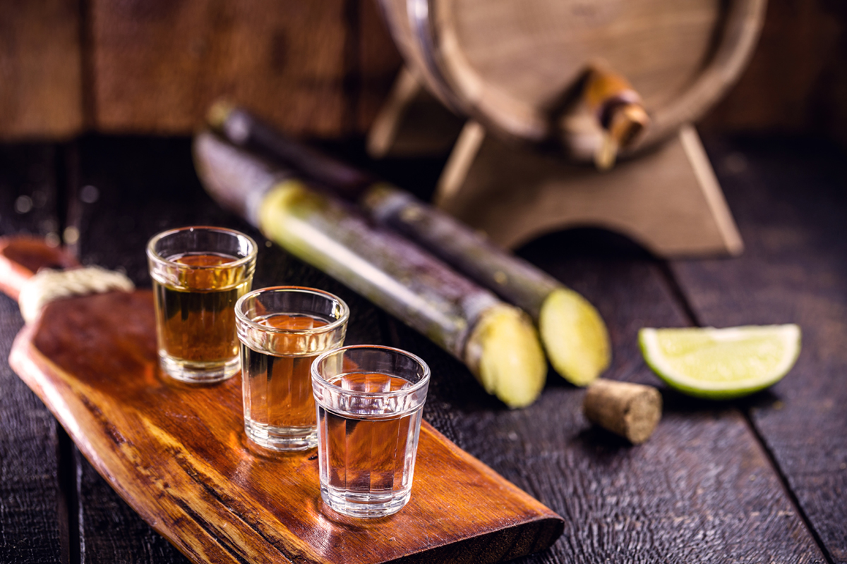 copos de cachaça com barril e cana de açucar ao fundo